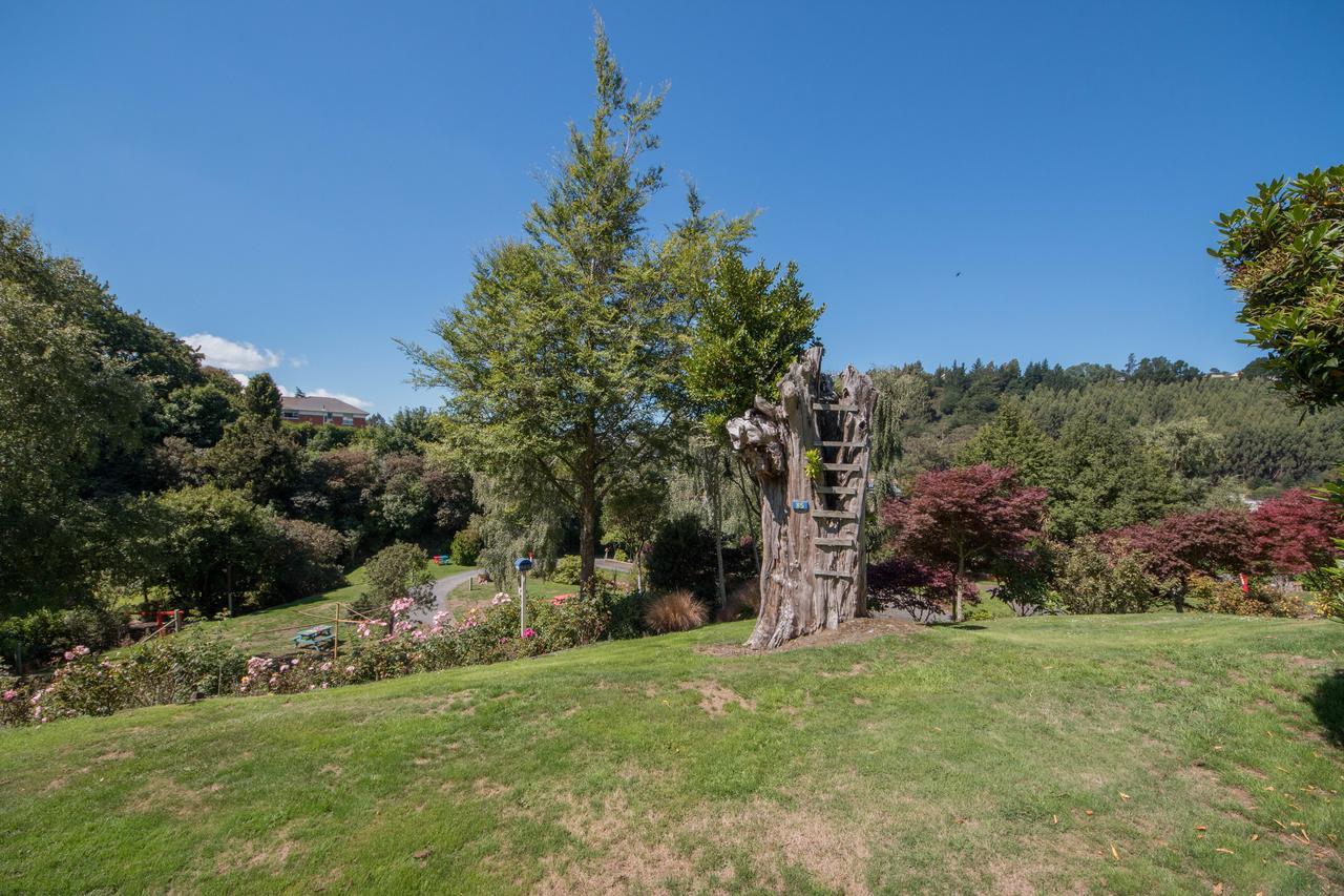 Aaron Lodge Holiday Park 더니든 외부 사진